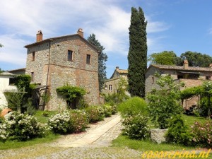 sfondo1